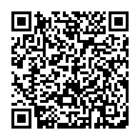 QR code for plate DLU 394