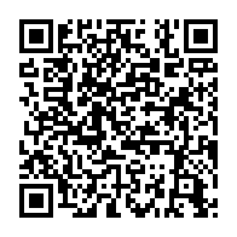 QR code for plate DLX 234