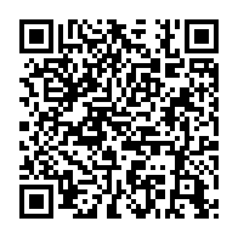 QR code for DMI 607