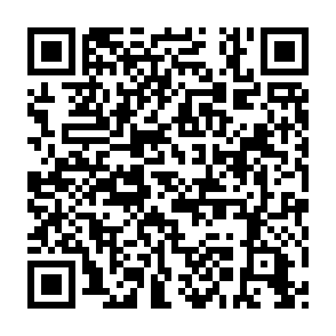 QR code for DMN 291