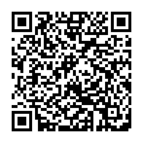 QR code for DMR 250