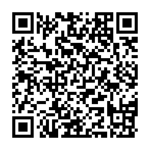 QR code for DNF 384