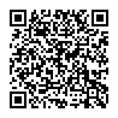 QR code for DNS 351