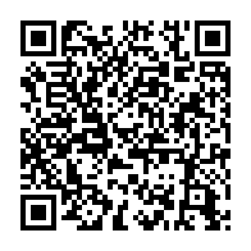 QR code for DNS597