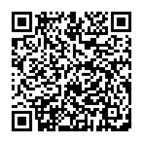 QR code for DPI 585