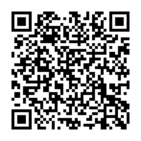 QR code for DPP 951