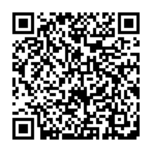 QR code for DQL 613
