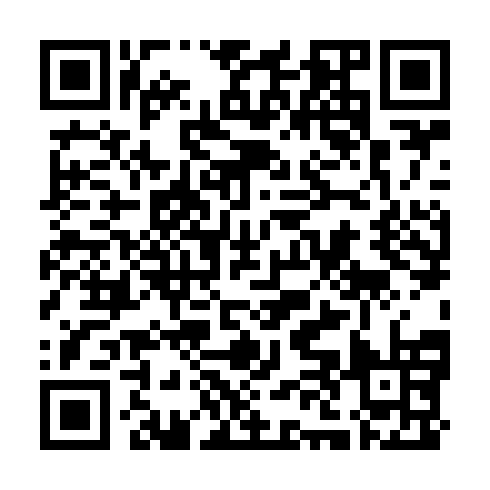 QR code for DQM 331
