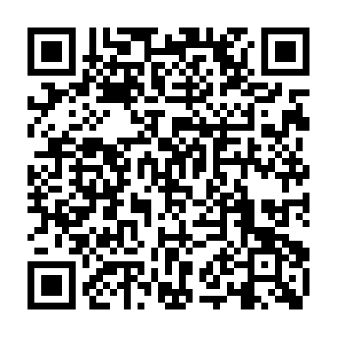 QR code for DQN 383