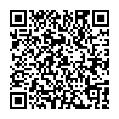 QR code for DQS 295