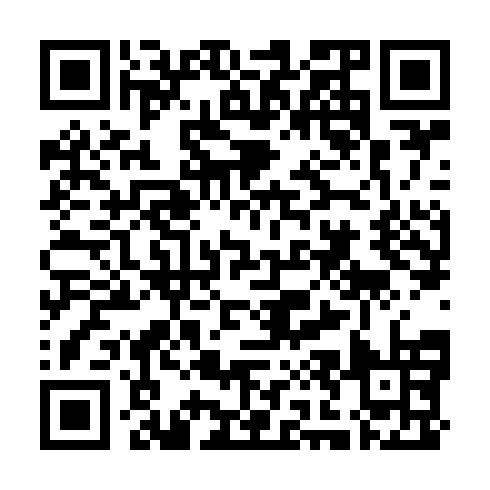 QR code for DSB 411