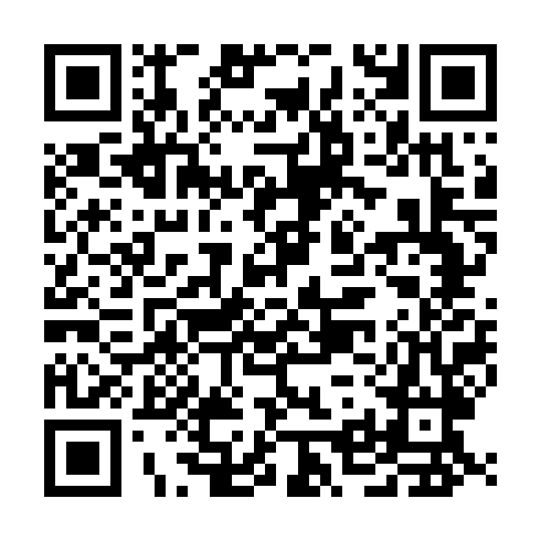 QR code for DSE 312