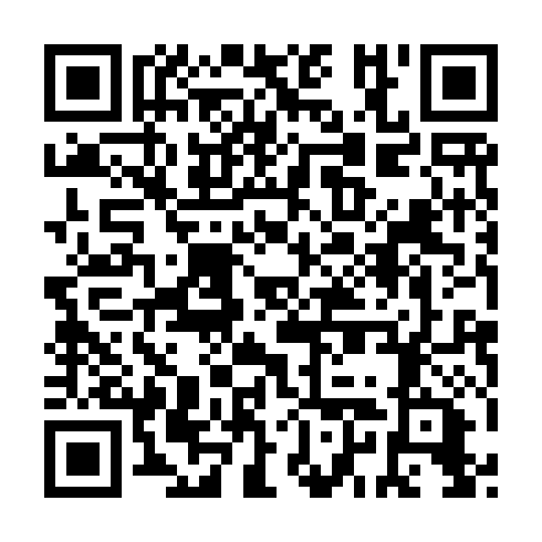 QR code for DSE 319