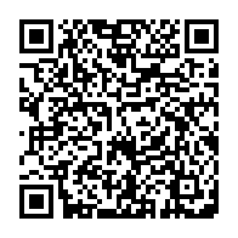 QR code for DSG 250