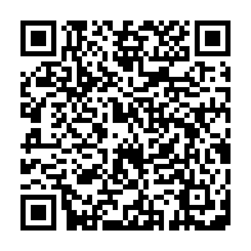QR code for DSI 101