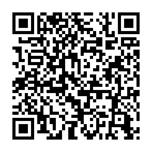 QR code for DSI 490