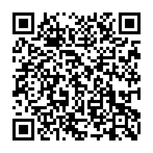 QR code for plate DSI 533