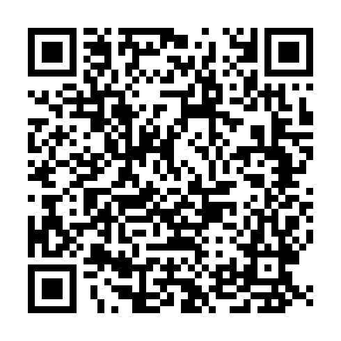 QR code for DSM 241