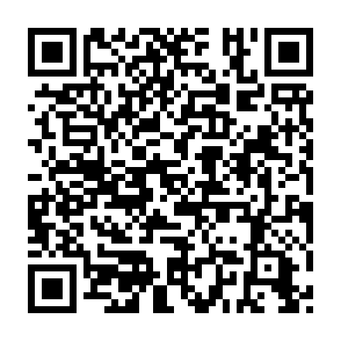 QR code for DSM 379