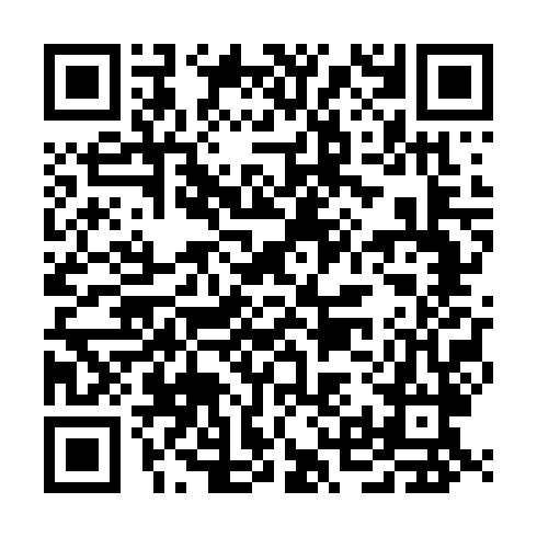 QR code for DSM 938