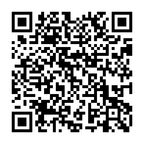 QR code for DSQ 339