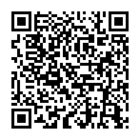 QR code for DSR 411