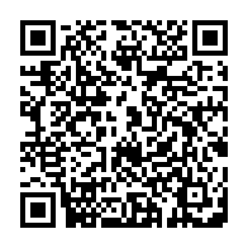 QR code for DSS 031