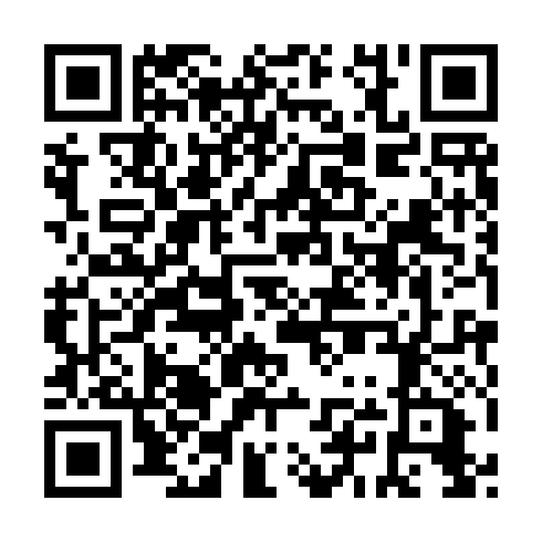QR code for DST 591