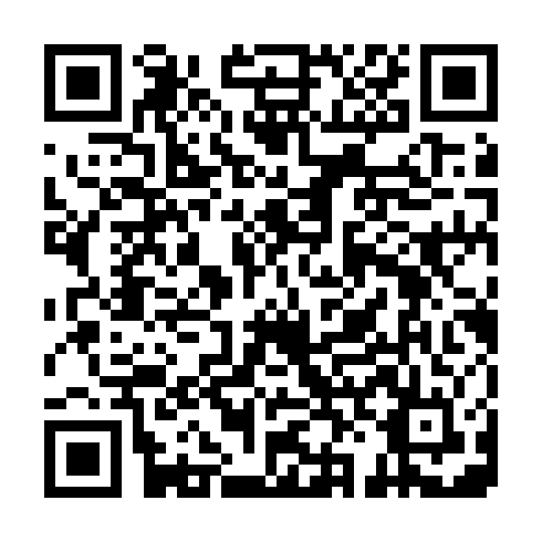QR code for DSX250