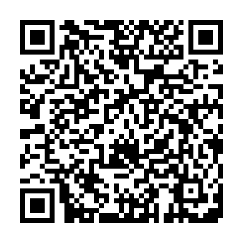 QR code for plate DUC 163