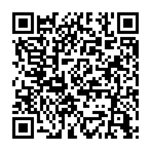 QR code for plate DXH 013
