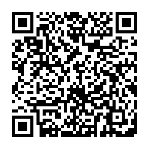 QR code for DXM 013