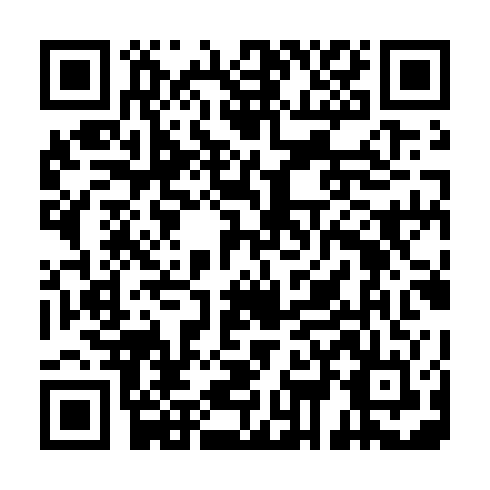 QR code for DXS333