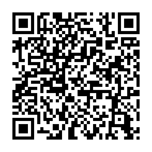 QR code for plate DXT 040