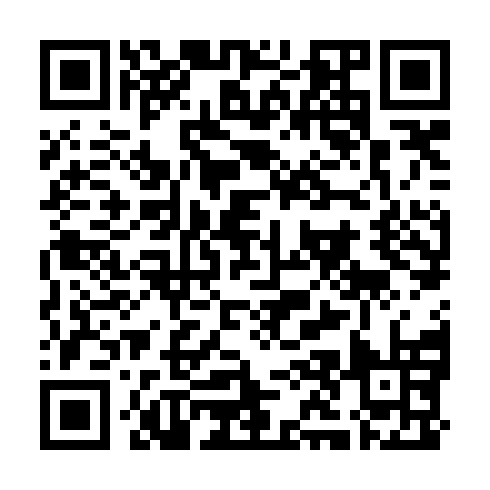 QR code for DYI 384