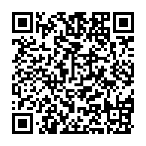 QR code for DYN 375