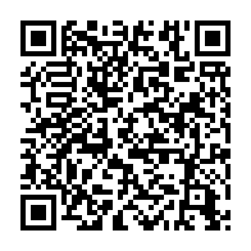QR code for DYN 959