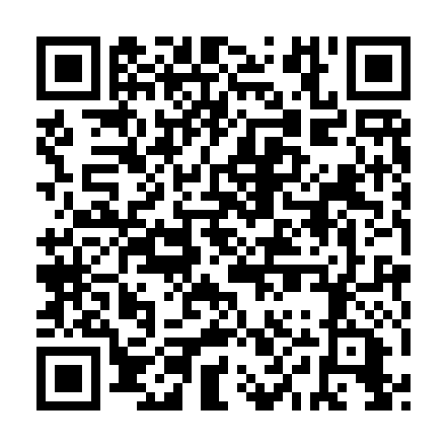 QR code for DYP991