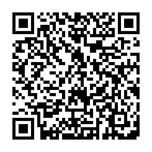 QR code for plate DYQ 513