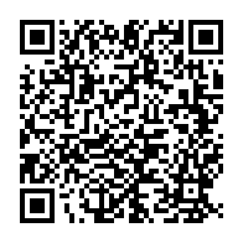 QR code for DYS 513