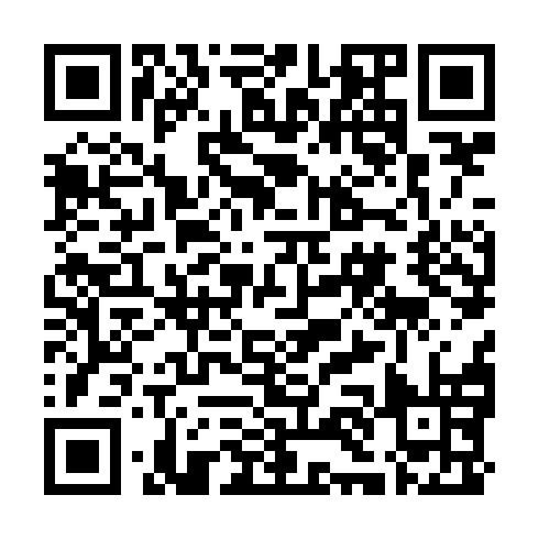QR code for plate DYX 368