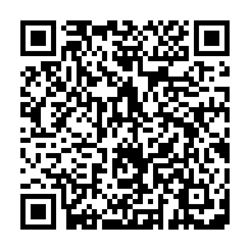 QR code for DYZ 313