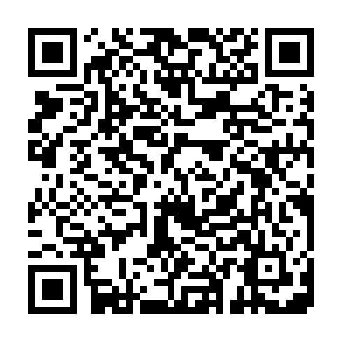QR code for DZG 595
