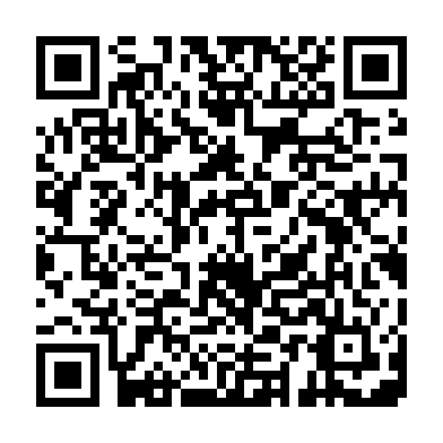 QR code for plate DZG 013