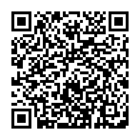 QR code for DZT 076