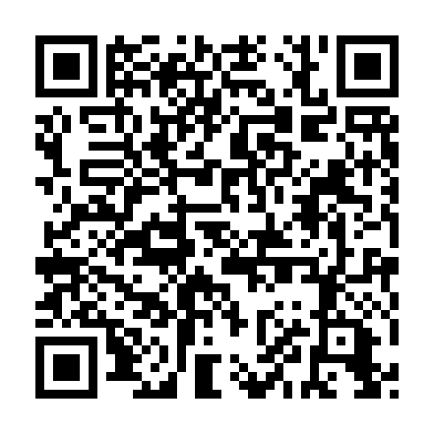 QR code for DZY 491