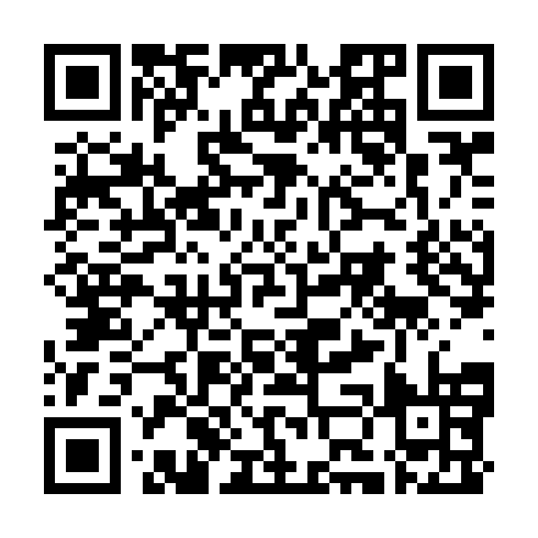 QR code for DZY 615