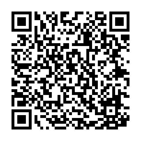 QR code for plate DZY 213