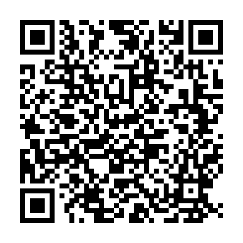 QR code for DZY711