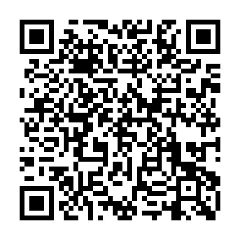 QR code for DZY995
